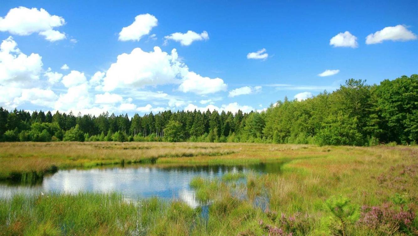 Comfortabel Chalet In Nationaal Park Wateren Extérieur photo