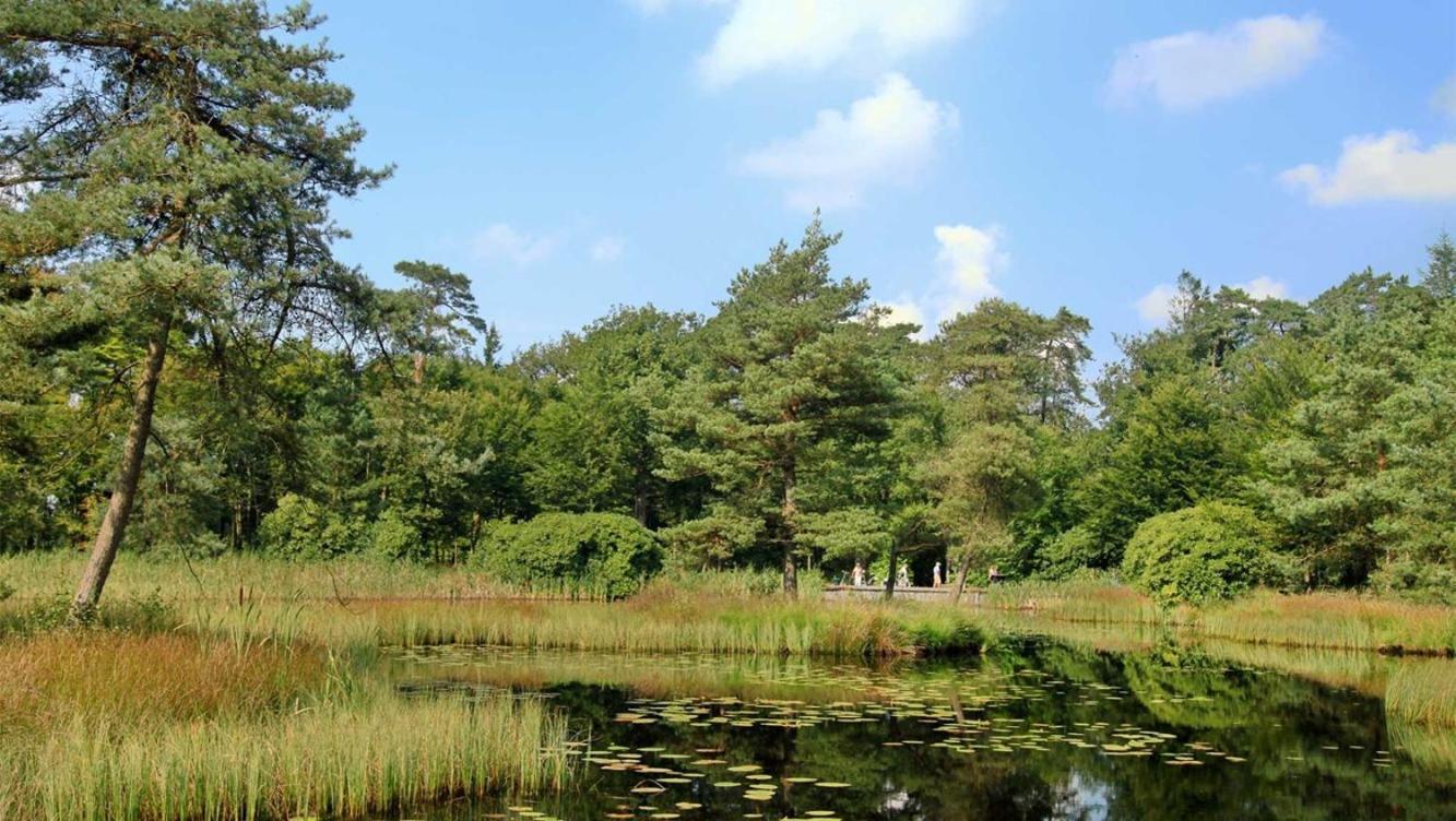 Comfortabel Chalet In Nationaal Park Wateren Extérieur photo