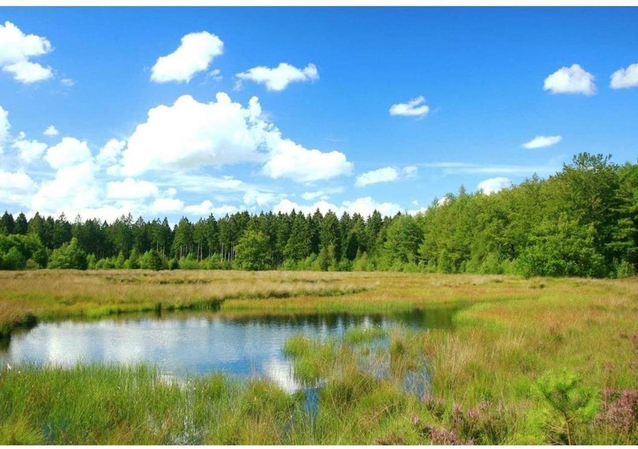 Comfortabel Chalet In Nationaal Park Wateren Extérieur photo